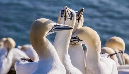 三大消息：中美突然“联手”！普京曝光真面目？解放军动真格了