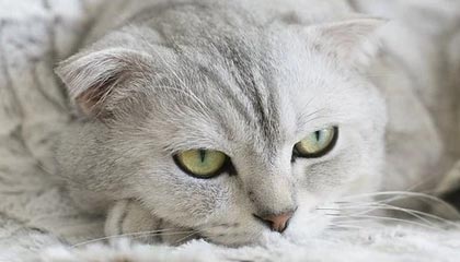 不许买伊朗石油，美宣布制裁2家中企，关键时刻，外交部强力回应