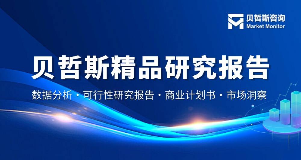 中国商户现金垫款市场总量与份额分析