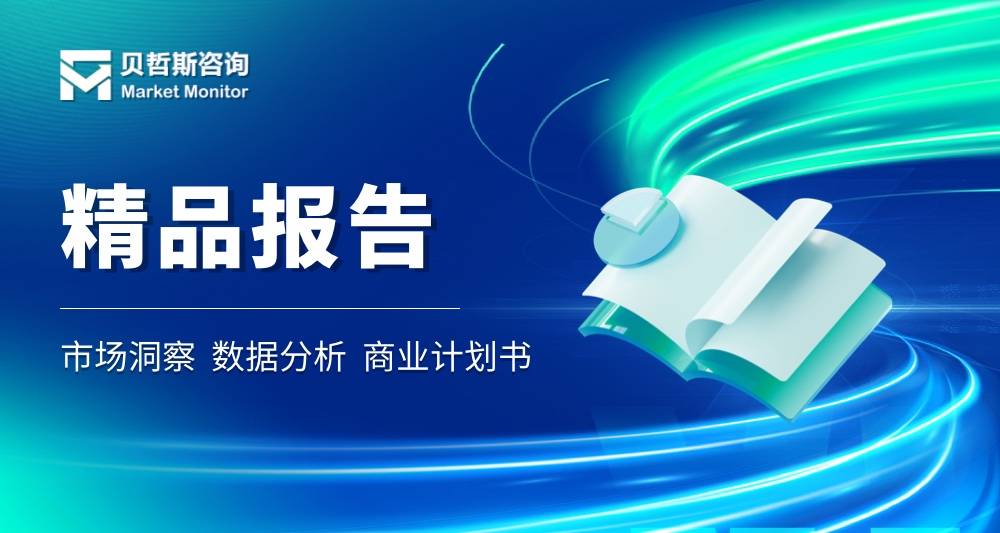 在途现金袋市场规模与前景分析报告2024