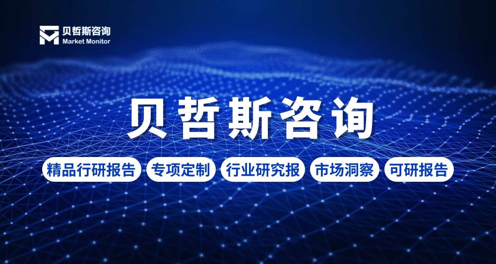 2024年商户现金垫款行业市场概况解析与前景预估报告