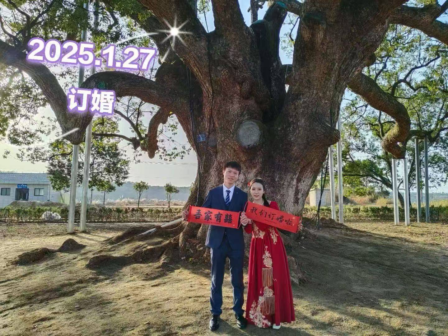 岳阳情侣连续9年在家乡千年古樟树下合影，今年国庆终修正果：希望爱情像古树一样长久