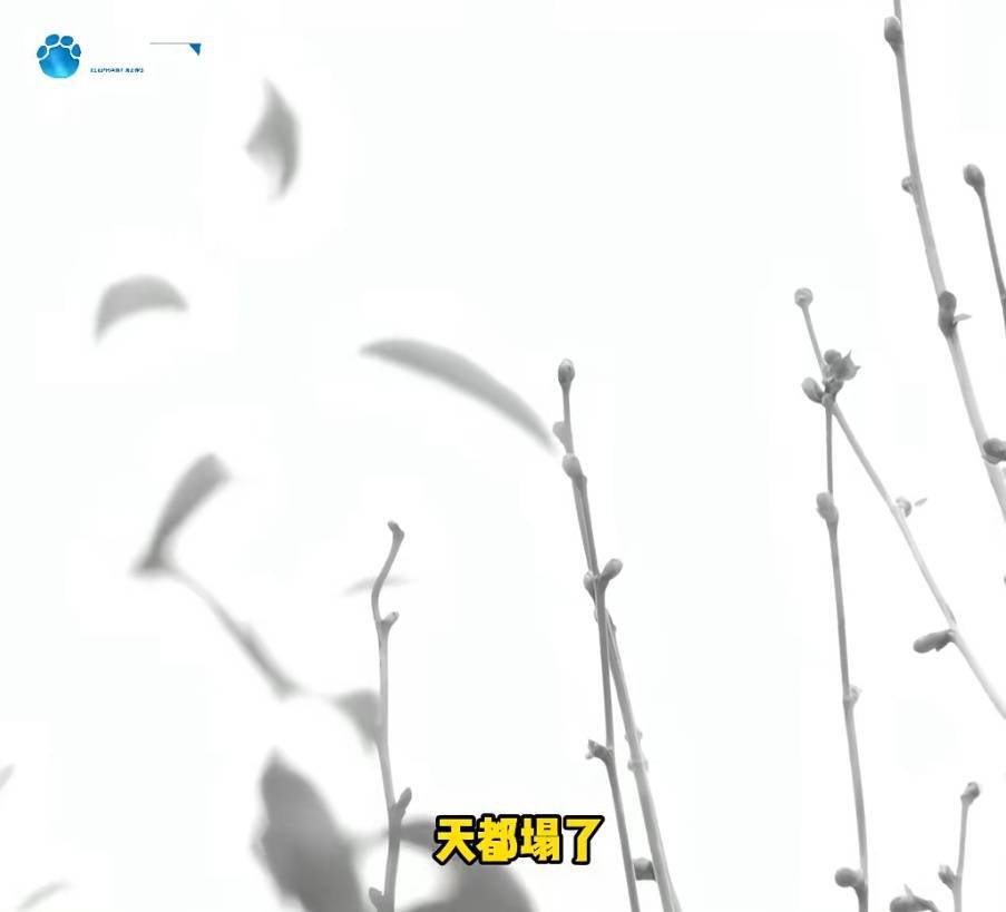 “天塌了,我一生都毁了”,男子称养了20年才发现儿子非亲生!前妻坚决否认