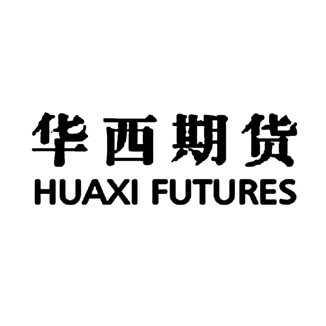 华西证券公司(华西证劵有限公司)