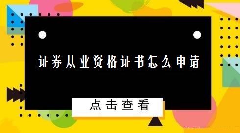 证券证书查询(证券证书查询编号查询)