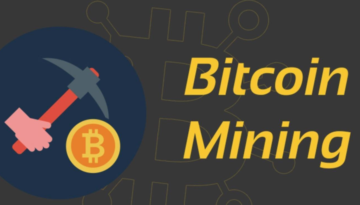 包含BSV-比特币交易所交易平台的词条
