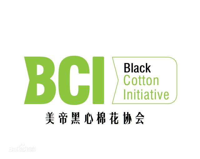 BCH官网(bch官网信息)