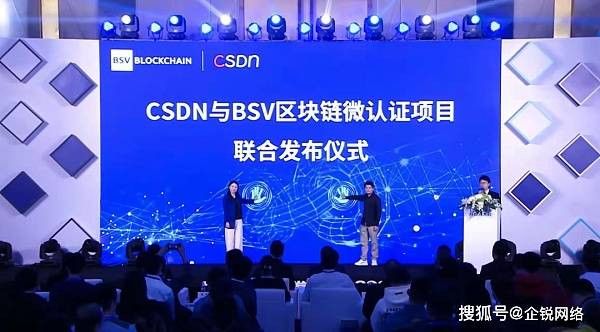 关于BSVapp的信息