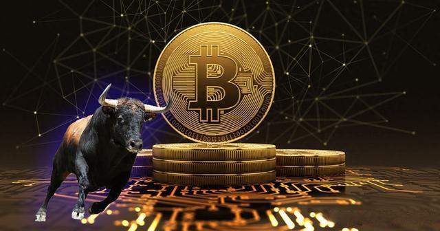 BCH-比特现金平台(比特现金交易所有风险吗)