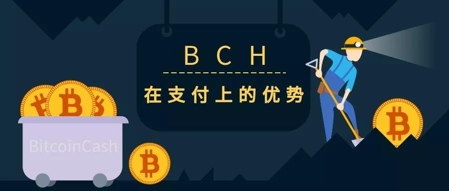 比特现金平台(比特现金是山寨币吗)