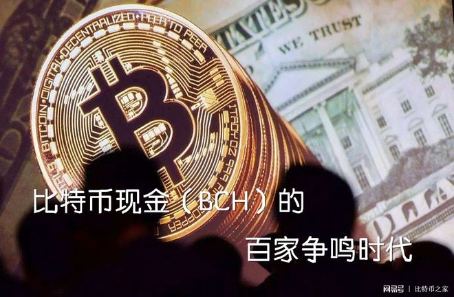 比特现金官网(比特现金交易所)