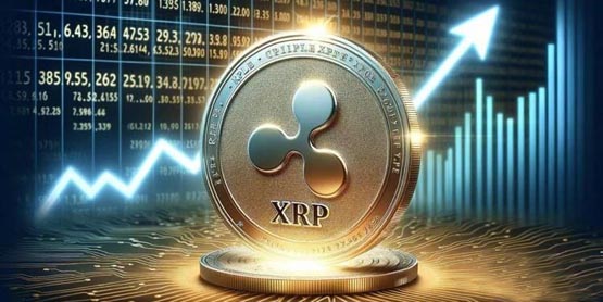 XRP交易所交易平台(xrp capital)